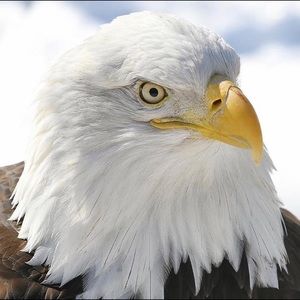 Meet your Posher, Thiago